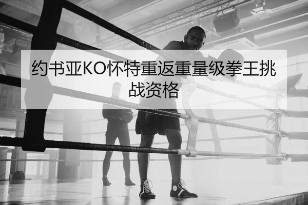 约书亚KO怀特重返重量级拳王挑战资格